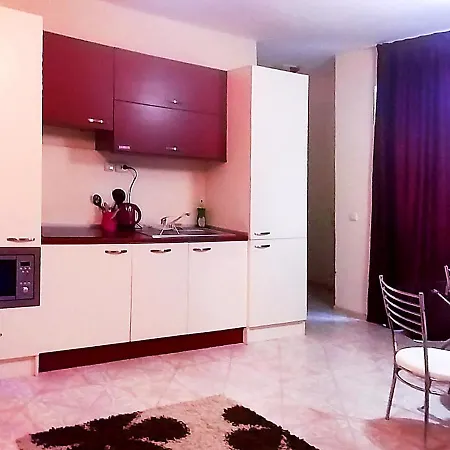 公寓 Deluxemaisonettes In Panoramic Roof Complex 巴尔奇克