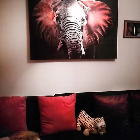 Deluxemaisonettes In Panoramic Roof Complex 公寓 巴尔奇克